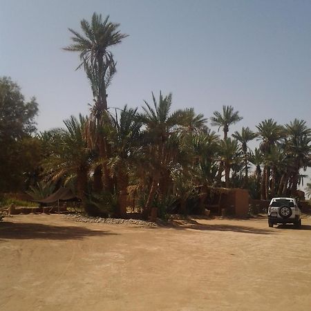 Kasbah Les Alizes Du Desert M'Hamid Zewnętrze zdjęcie