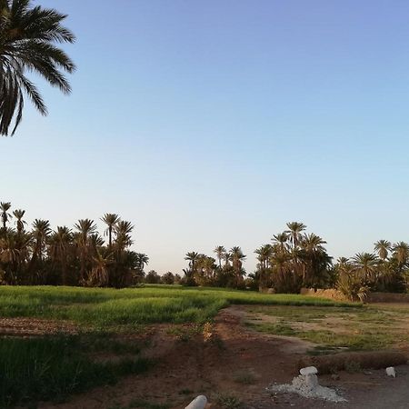 Kasbah Les Alizes Du Desert M'Hamid Zewnętrze zdjęcie