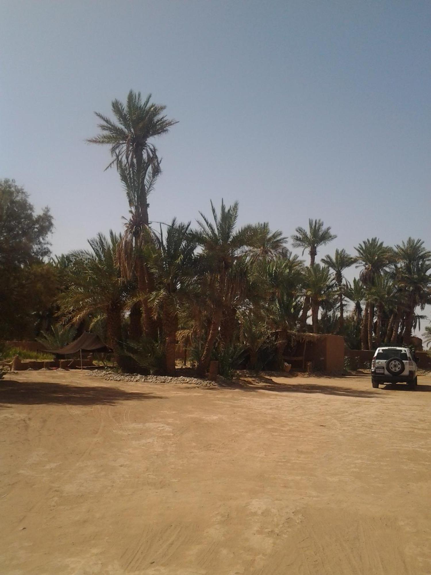 Kasbah Les Alizes Du Desert M'Hamid Zewnętrze zdjęcie