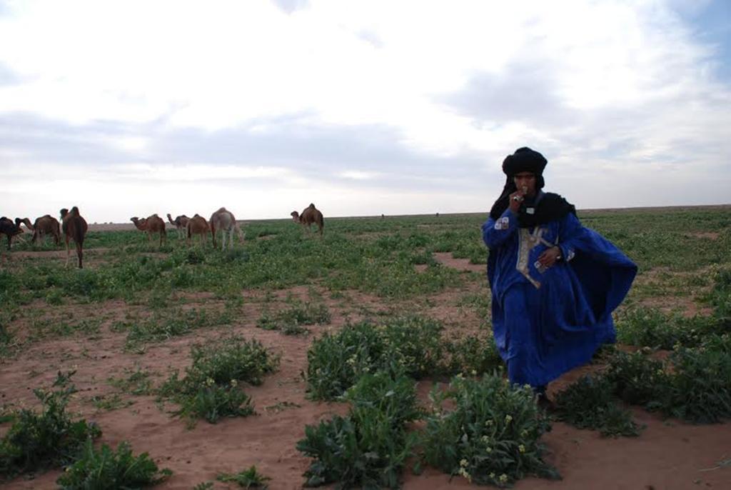 Kasbah Les Alizes Du Desert M'Hamid Zewnętrze zdjęcie