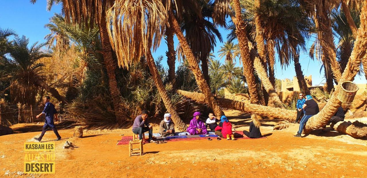 Kasbah Les Alizes Du Desert M'Hamid Zewnętrze zdjęcie