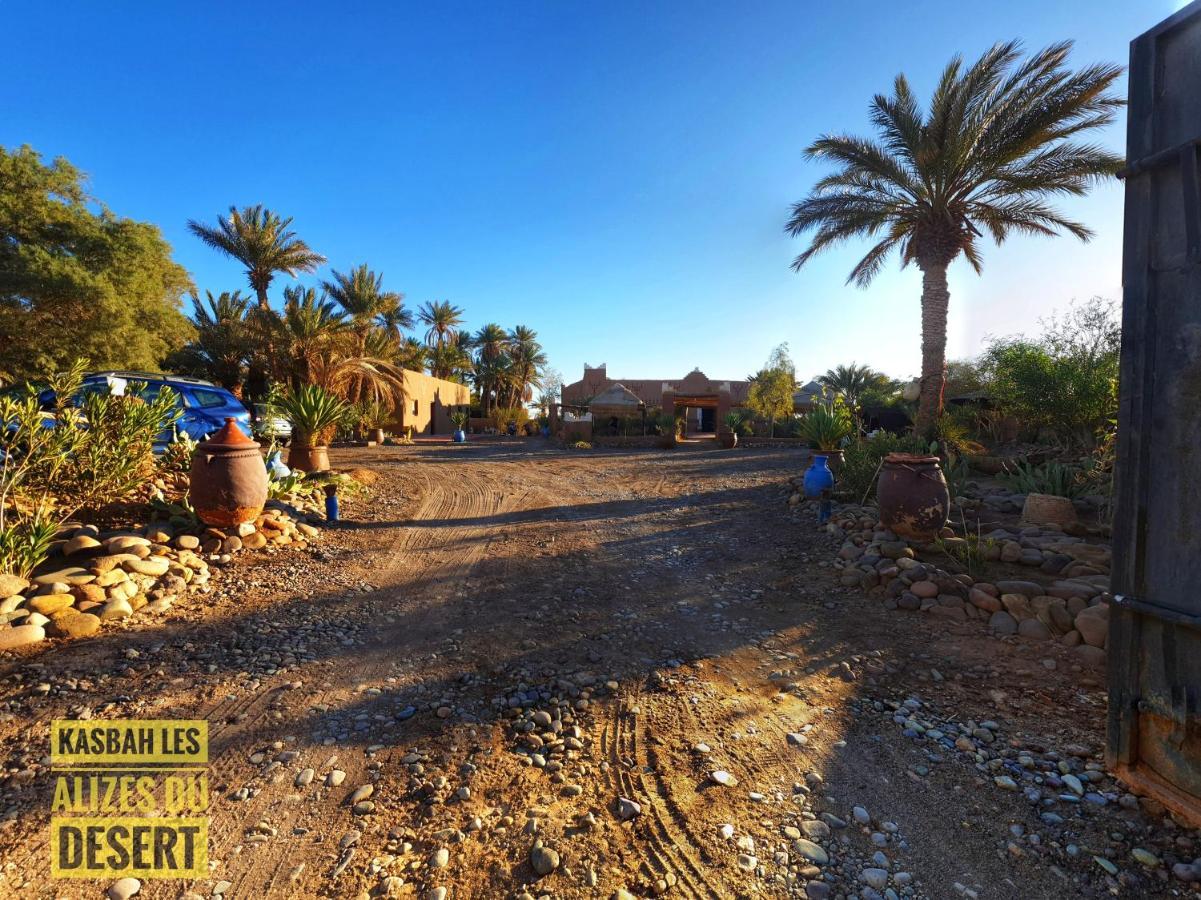 Kasbah Les Alizes Du Desert M'Hamid Zewnętrze zdjęcie