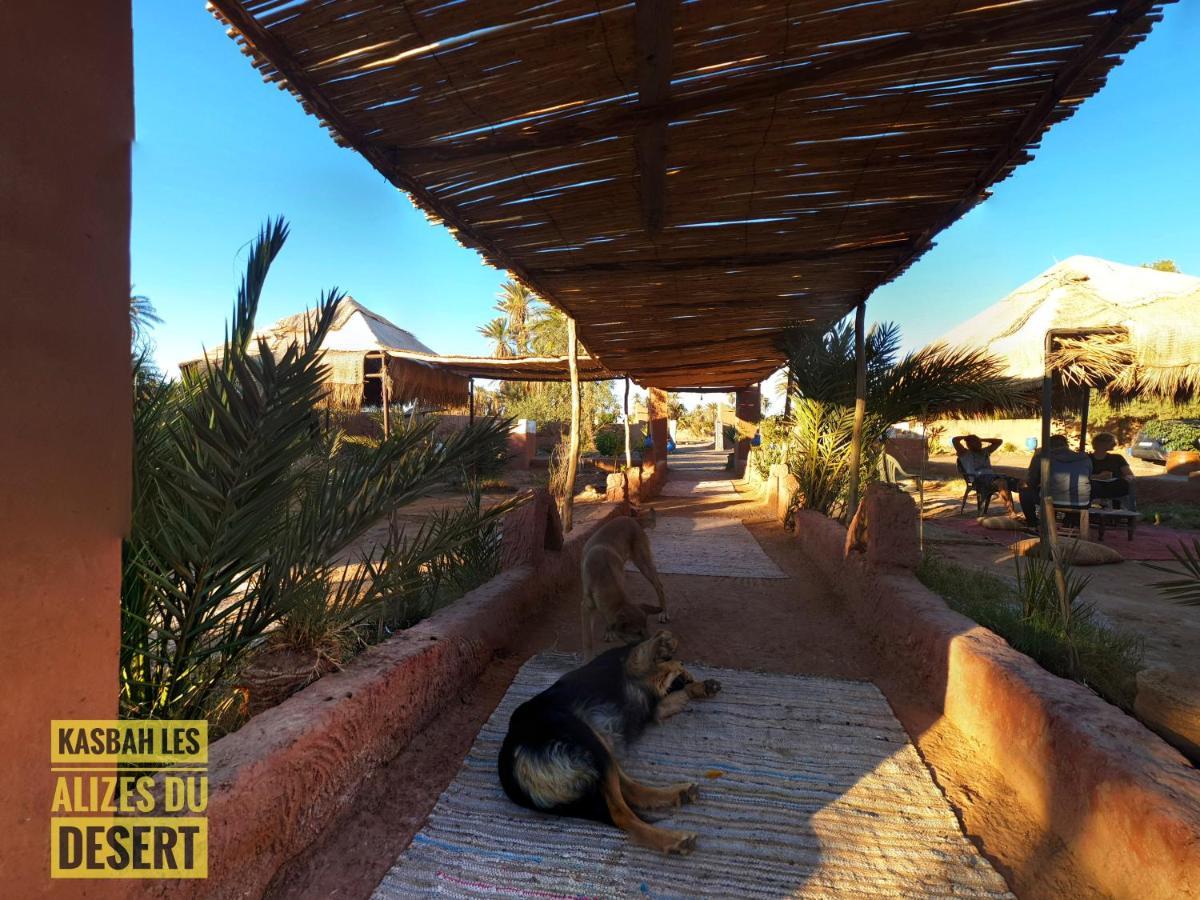 Kasbah Les Alizes Du Desert M'Hamid Zewnętrze zdjęcie