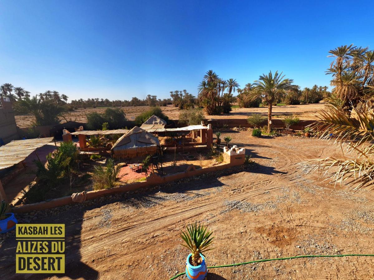 Kasbah Les Alizes Du Desert M'Hamid Zewnętrze zdjęcie