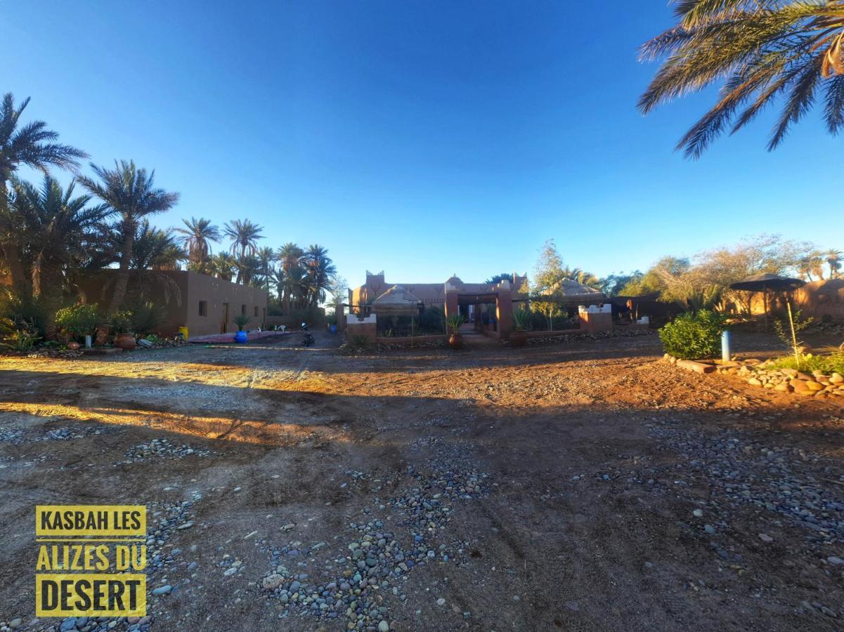 Kasbah Les Alizes Du Desert M'Hamid Zewnętrze zdjęcie