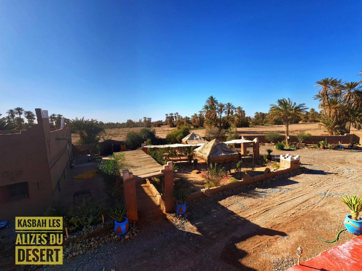 Kasbah Les Alizes Du Desert M'Hamid Zewnętrze zdjęcie